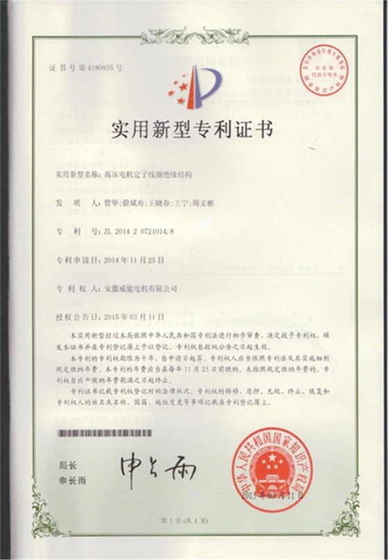 开云手机官方网站,开云中国
专利|高压电机定子线圈绝缘结构