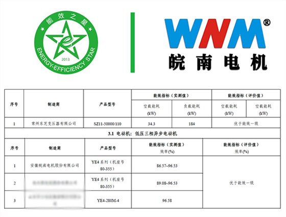 开云手机官方网站,开云中国
YE4电机入选能效之星