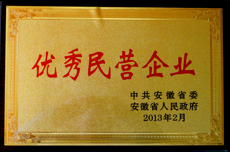 开云手机官方网站,开云中国
：优秀民营企业