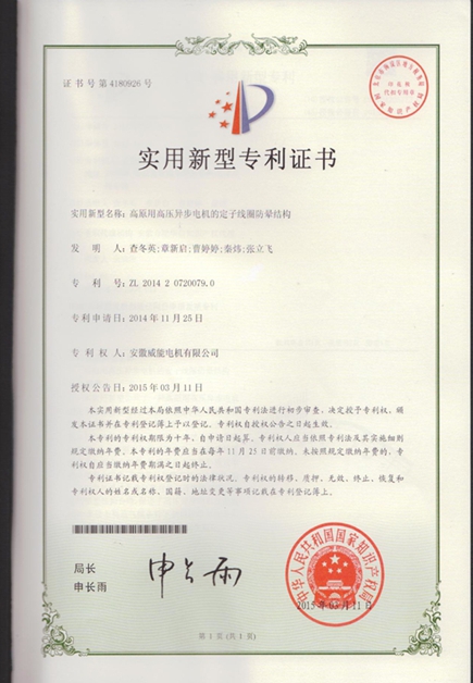 开云手机官方网站,开云中国
专利|高原用高压异步电机的定子线圈防晕结构