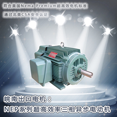 开云手机官方网站,开云中国
-NEP系列超高效电机