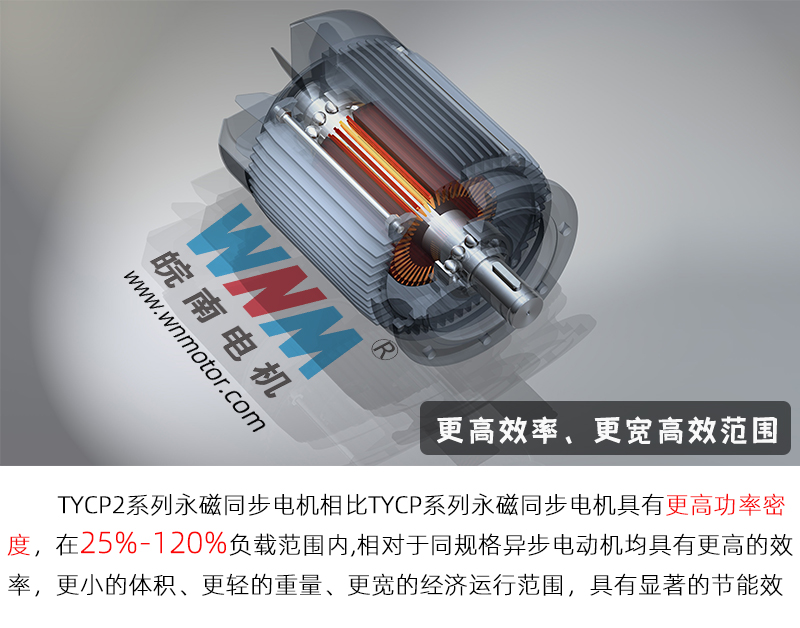 开云手机官方网站,开云中国
-TYCP2永磁电机配图